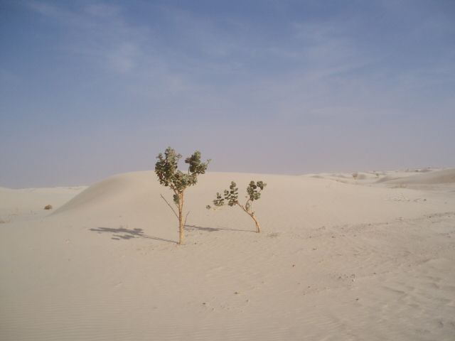 Akjoujt
